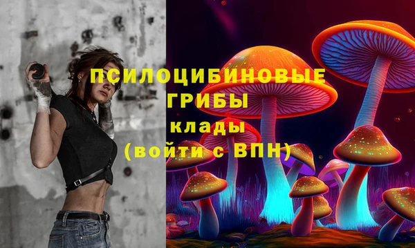 прущие грибы Абдулино
